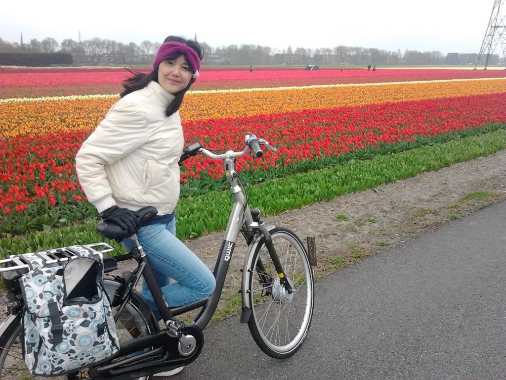 Passeando de bicicleta pelos campos de tulipas na Holanda para assistir à Parada das Flores do Keukenhof na cidade de Sassenheim