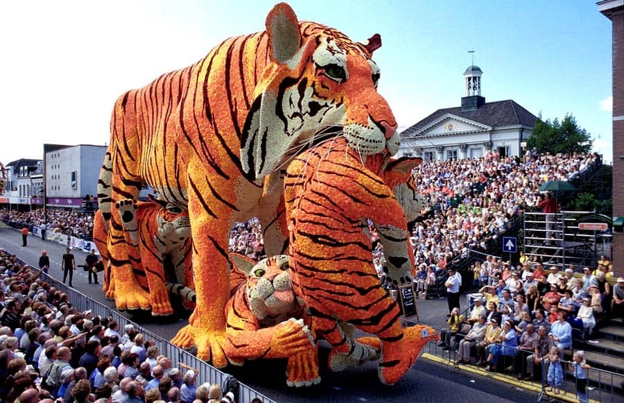 tigresa na parada de flores bloemencorso zundert, a maior do mundo e que fica na cidade onde van gogh nasceu