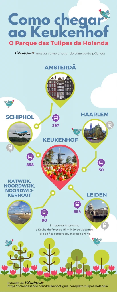 infográfico de como chegar ao keukenhof de ônibus e outros transportes públicos a partir de amsterdam, haarlem, leiden