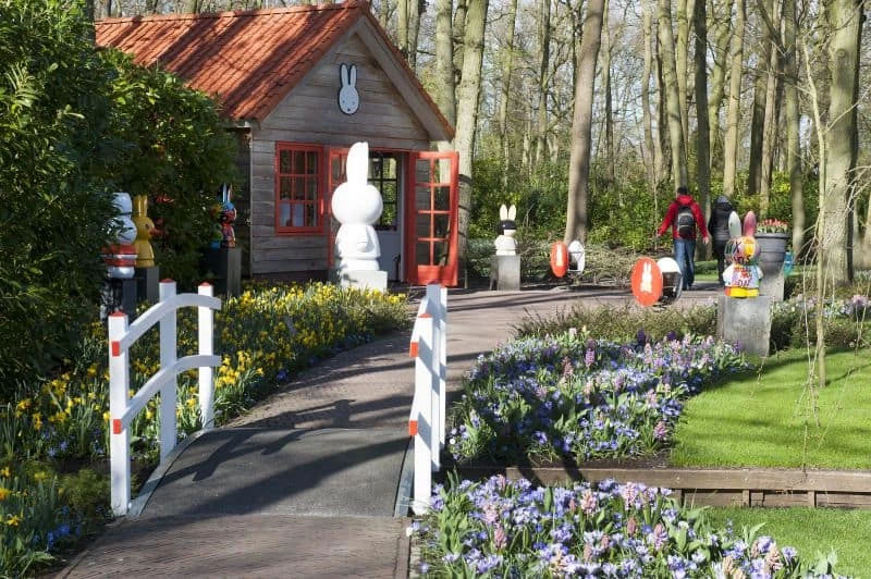 Casa da coelhinha Miffy no Keukenhof cercado de tulipas