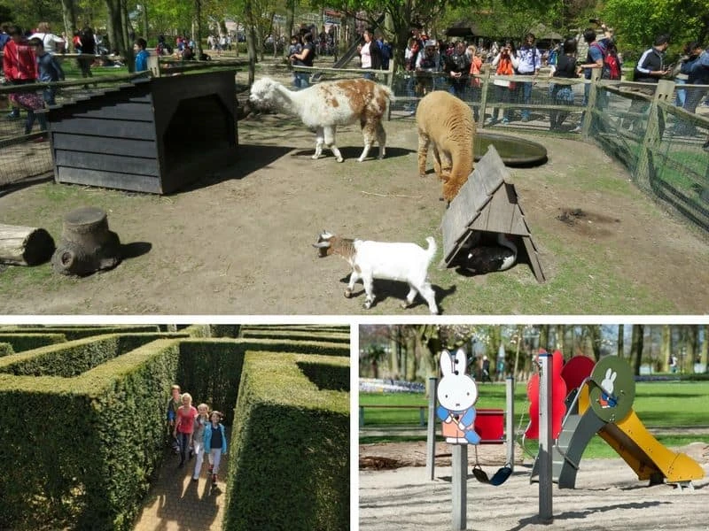 Atrações para crianças no Keukenhof: fazendinha de animais, labirinto e playground da Miffy