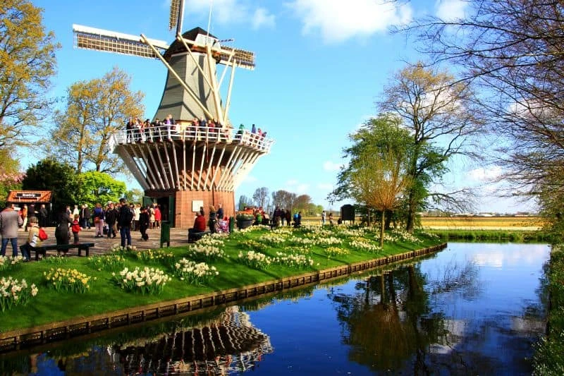 Moinho de vento no Keukenhof, na Holanda