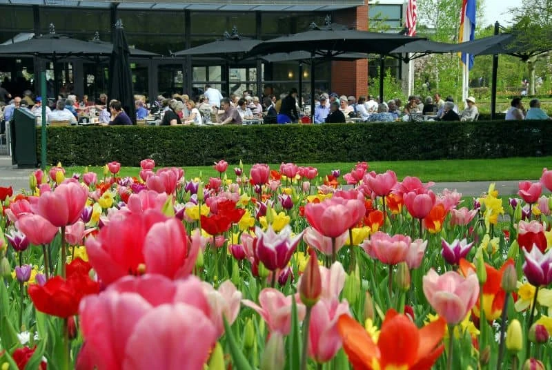 Restaurante do Keukenhof com jardim de tulipas