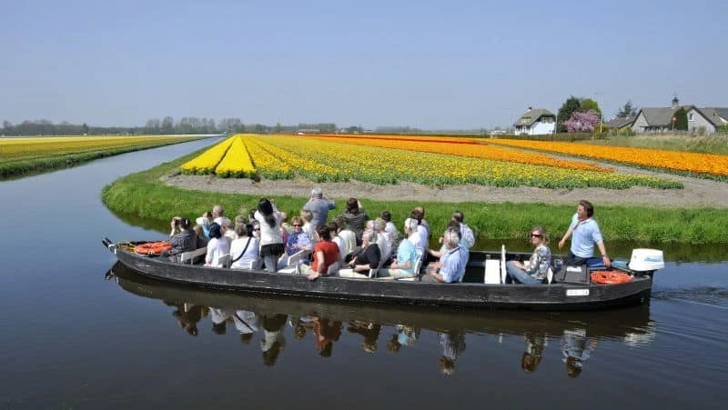 Passeio de barco nos campos de tulipas na região do Keukenhof na Holanda