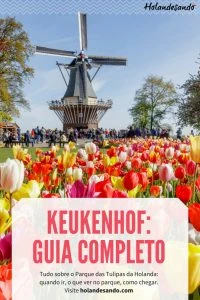 guia completo do Keukenhof 2018: quando visitar, como chegar, o que ver e fazer no parque de tulipas da Holanda.