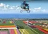 helicóptero voa sobre os campos de tulipa na Holanda, com visão aérea e panorâmica dos campos de tulipas