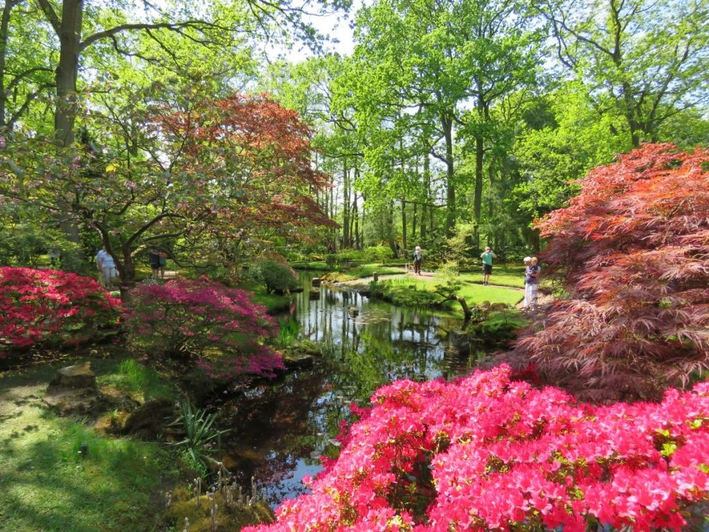 Jardim Japonês de Haia, na Holanda