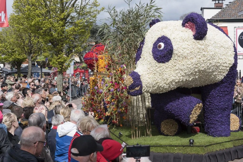 Na Parada das Flores do Keukenhof, pessoas assistem carro alegórico em forma de urso panda que passa pelas ruas da Holanda