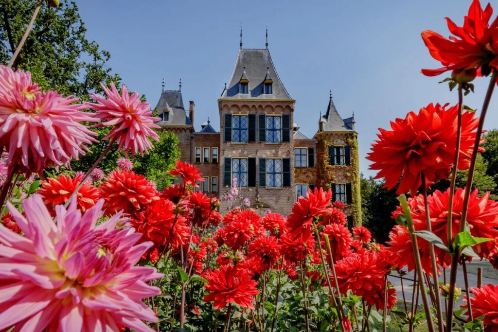 Jardim de dálias do Castelo Keukenhof, que fica ao lado do parque Keukenhof, o maior parque de tulipas da Europa. Durante o verão você pode visitar o castelo e campos de dálias de graça